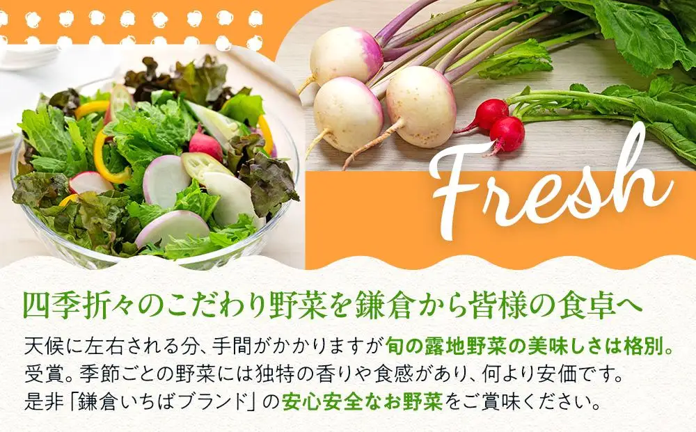 「鎌倉いちばブランド」新鮮お野菜詰め合わせセット  6～8品 ｜ 人気 野菜 詰合せ 詰め合わせ セット 新鮮野菜 詰め合わせセット 野菜セット 季節の野菜 鎌倉野菜 地元産 お取り寄せ おすすめ 送料無料 神奈川 鎌倉 新鮮