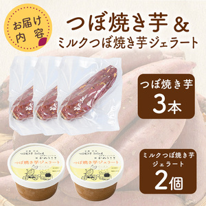 つぼ焼き芋(3本)・ミルクつぼ焼き芋ジェラート(2個) 焼き芋 さつまいも スイーツ 国産 蜜芋 ジェラート アイス 焼き芋アイス 焼き芋 ミルクアイス ミルクジェラート 焼き芋ジェラート 食べ比べ【uj-EC003】【つぼ焼き芋 SoGa屋】