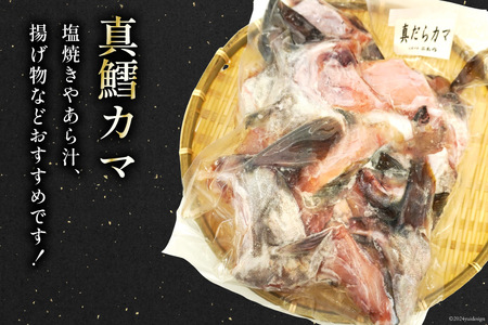 銀鮭 500g 真鱈 1.5kg カマ セット 計 2kg [南三陸さんさんマルシェ 宮城県 南三陸町 30ai0054]