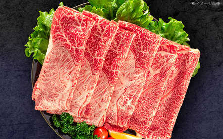 【12回定期便】長崎和牛 すき焼き・しゃぶしゃぶ用 赤身スライス600g (モモ・ウデ 各300g)[OCE095]
