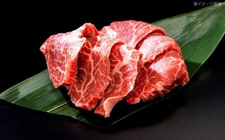 【12回定期便】長崎和牛 焼肉用 赤身スライス600g (モモ・ウデ 各300g)[OCE099]