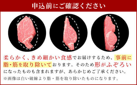 【全6回定期便】佐賀牛ヒレステーキ 3枚（計500g） / 佐賀県 / 佐嘉ZEYTAKUYA（やま田商店）[41AQAA064]