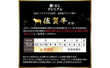 【全5回定期便】佐賀牛シャトーブリアン 5枚（計1kg） / 佐賀県 / 佐嘉ZEYTAKUYA（株式会社弥川畜産）[41AQAA070]