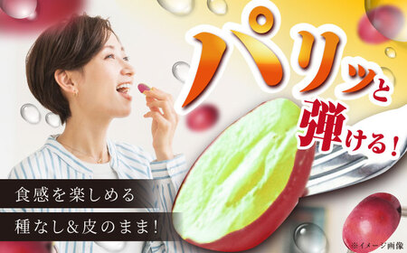 ぶどう【2026年8月初旬から順次発送】神紅 500g以上 [AIAA001] ぶどう