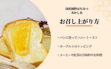 はちみつ 国産 アカシア 150g×12本 | はちみつ 蜂蜜 埼玉養蜂