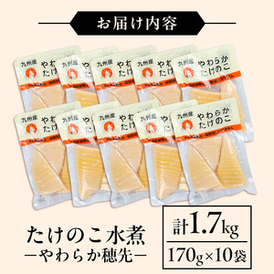 i1056 国産たけのこ水煮 穂先のみ (計1.7kg・170g×10P) 小分け 国産 九州産 たけのこ 筍 タケノコ  水煮 常温保存 常温 料理 煮物 炊き込みご飯 おでん 料理 お手軽 【旬彩館】
