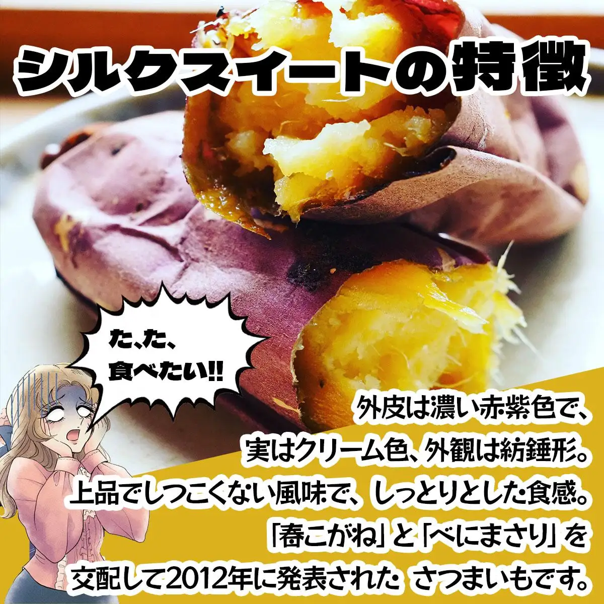 [5525-1151]北海道 伊達 さつまいも シルクスイート 10kg 熟成 高糖度 サツマイモ 芋 甘い スイートヤバ芋 産地直送