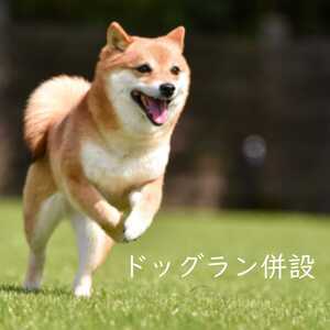 足柄ふれあい公園 手ぶらでBBQ（8名様）