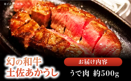 【最速発送】土佐あかうし 塊肉ステーキ 約500g（うで）【株式会社Dorago】[ATAM047]　スピード 最短 最速 発送