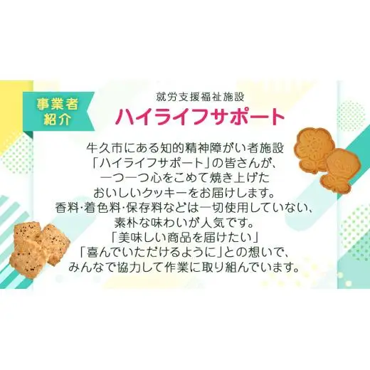 オートミールクッキー 2種 10枚 詰め合わせ