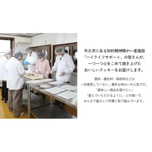 クッキー 5種 詰め合わせ 計52枚