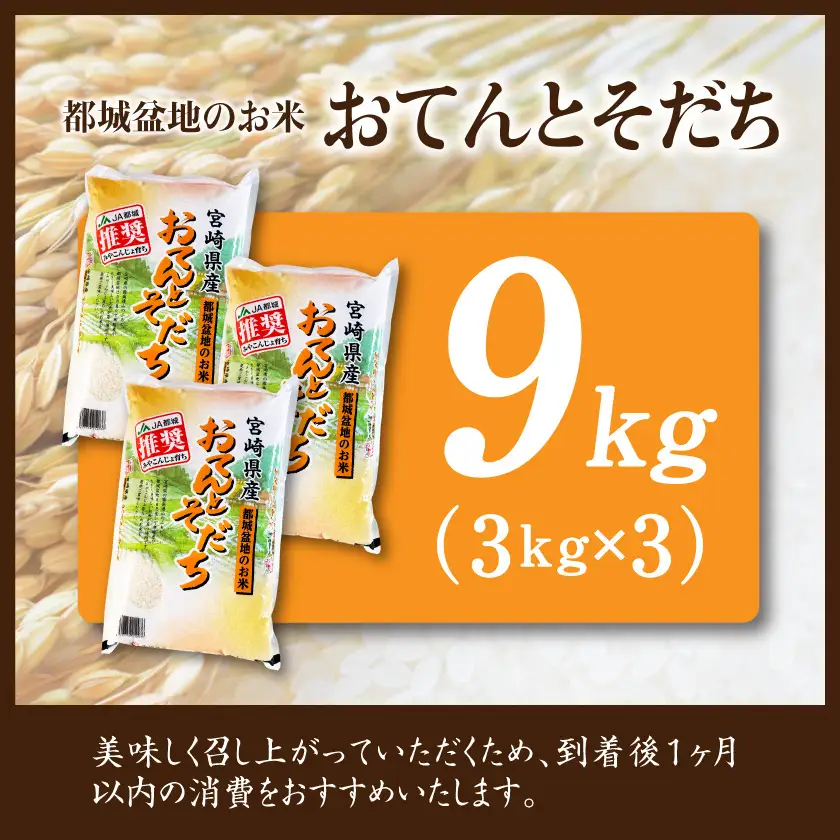 都城盆地のお米「おてんとそだち」9kg(3kg×3袋)〔21-15-006-9kg〕_(都城市) 都城産 お米 9kg