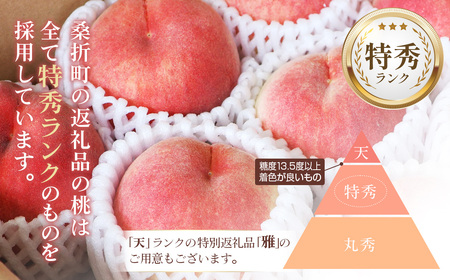 もも【2026年産8月発送/品種おまかせ】特秀3kg（8～11玉）桑折町振興公社 ／ もも モモ 果物 フルーツ 旬 甘い 甘み ジューシー 果肉 果汁 新鮮 フレッシュ デザート おいしい 産地直送 桑折 こおり こおりまち 福島県 特産品 No.233