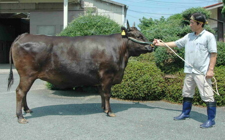 松阪肉元祖　和田金　サーロインステーキ折詰　150g×2枚【6.6-4】