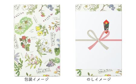 スフレチーズケーキ 『大糸チーズ』 9個入り 1箱 優しい味わい ギフトにもおすすめ 新潟県 糸魚川市 ナカシマ 一番人気のやわらかな口どけ のし対応可 チーズケーキ スイーツ 洋菓子 お歳暮 お中元 贈答