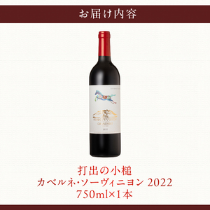 打出の小槌 カベルネ・ソーヴィニヨン 2022　1本　ワイン 赤ワイン カベルネ・ソーヴィニヨン 2022 750ml 1本 数量限定 赤 国産ワイン 山梨県産 白州産 北杜市産 完熟  黒系果実 オーク樽 樽香 タンニン 酸味 料理に合う 記念日 贈り物 プレゼント [h135]