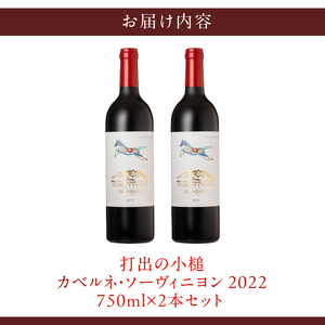 打出の小槌 カベルネ・ソーヴィニヨン 2022　2本　ワイン 赤ワイン カベルネ・ソーヴィニヨン 2022 750ml 2本 数量限定 赤 国産ワイン 山梨県産 白州産 北杜市産 完熟  黒系果実 オーク樽 樽香 タンニン 酸味 料理に合う 記念日 贈り物 プレゼント [h135]