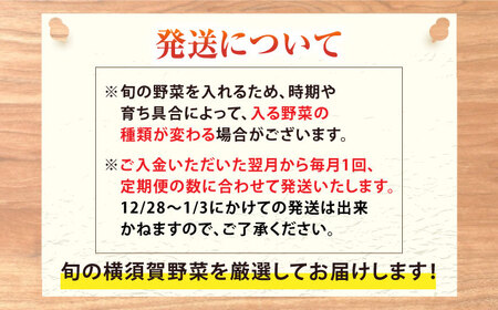 【全６回定期便】すずなり採れたて野菜BOX　(5~7品）【鈴也ファーム】[AKCE012]