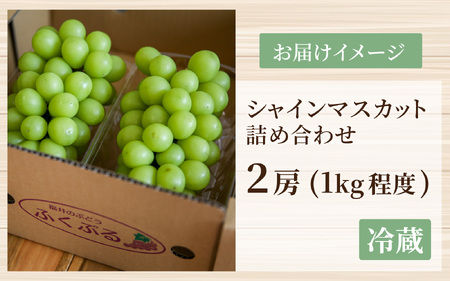ぶどう (シャインマスカット) 約1kg (2房)｜ ぶどう 【2026年8月順次発送】