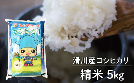 滑川産コシヒカリ（精米5kg） [A-007005]