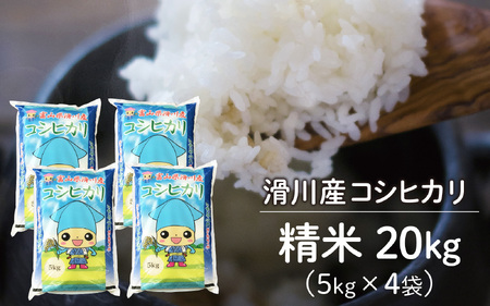 滑川産コシヒカリ（精米20kg） [D-007001]