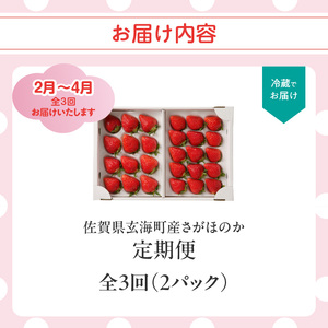 ★予約受付★ 佐賀県玄海町産「さがほのか」毎月定期便 ／ いちご 定期便【Z111】