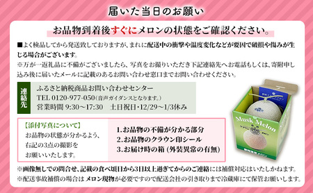クラウンメロンの子メロン【配送不可：離島】 メロン青肉 果物類 フルーツ 
