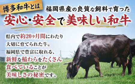 【半頭丸ごとオーダーカット！】博多和牛 半頭食べ尽くしセット[VBB083]