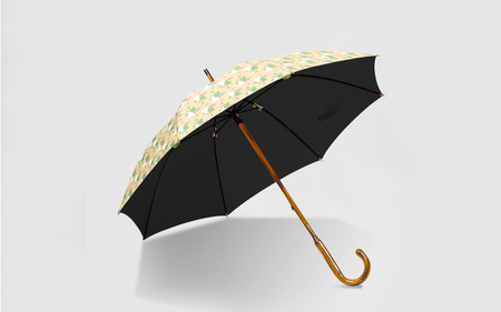 EMILY BURNINGHAM 晴雨兼用長傘47cm ラビッツアンドターニップ