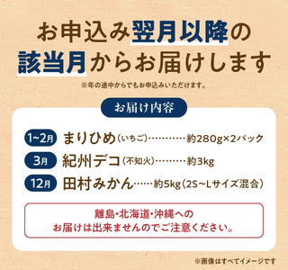 G60-T77_【定期便 全3回】紀州和歌山産旬のフルーツ定期便（田村みかん、いちご、紀州デコ）