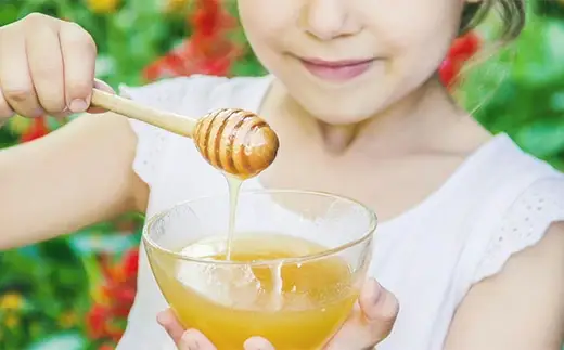 日本ミツバチの蜂蜜　100g　【12203-0269】