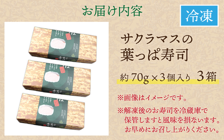 喜ばれる手土産 サクラマスの葉っぱ寿司 3個入り×3箱 [B-068001]