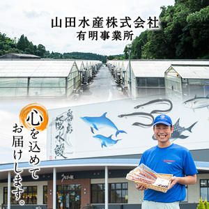 国産うなぎ 肝串＜30本入＞ a5-353