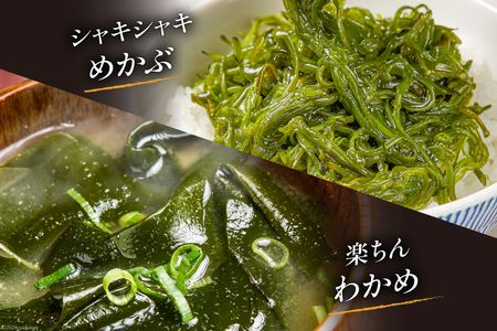 海鮮 詰め合わせ 三陸 海の恵み 5種 セット [たみこの海パック 宮城県 南三陸町 30ae0033]