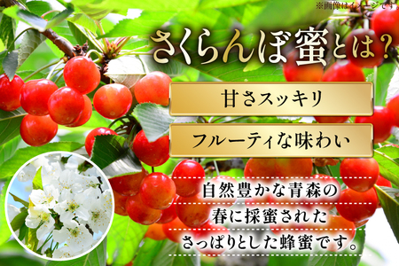 はちみつ 国産 石蔵のはちみつ アカシアはちみつ 450g トチはちみつ 100g さくらんぼはちみつ 100g 計3本 セット [東養蜂場 青森県 おいらせ町 oi02ayo660012]