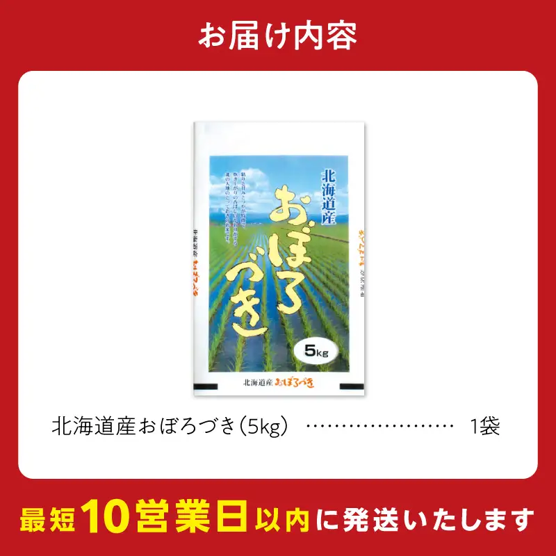 【10営業日以内発送】北海道産 おぼろづき 5kg 精米 お米 令和7年産 即納_Y138-0025
