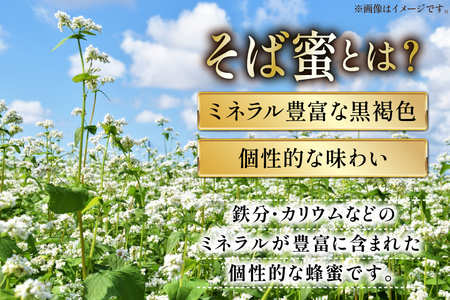はちみつ 国産 石蔵のはちみつ アカシアはちみつ 450g トチはちみつ 100g そばはちみつ 100g 計3本 セット [東養蜂場 青森県 おいらせ町 oi02ayo660013]