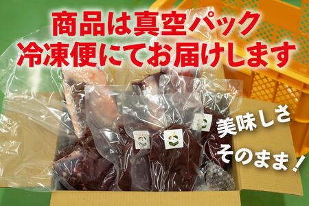 【伊豆産シカ肉】シカ肉食べ比べセット（3kg） 鹿肉 シカ肉 ジビエ 高タンパク 高たんぱく 低カロリー 低脂肪 焼肉 ロース ヒレ モモ ミンチ 赤み 肉 お肉 山の幸