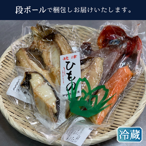 a15-667　【焼津ひもの食堂】焼いてあるひものセット【雅】