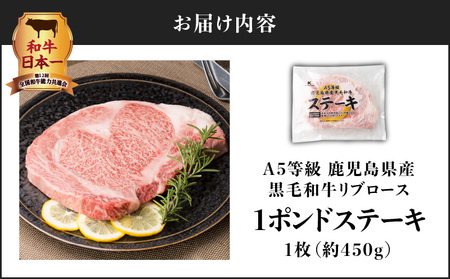 A5等級 鹿児島県産黒毛和牛リブロース 1ポンドステーキ K002-041_01 肉 牛肉 冷凍