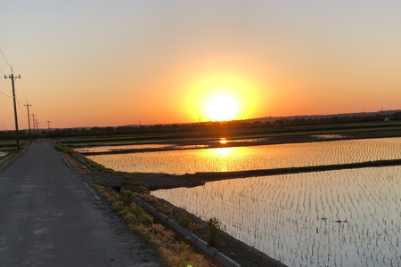 米 令和7年度産 特別栽培米 コシヒカリ 希夢良米 (きむらまい) 1升 (1.5kg)×真空3パック 計3升 (4.5kg) [木村農園 石川県 津幡町 tb17atf100006]