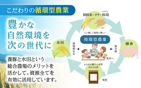 【R7年産】循環農法米 ヒノヒカリ 白米 5kg / 米 こめ コメ おこめ お米 白米 ひのひかり / 諫早市 / 株式会社土井農場 [AHAD094]