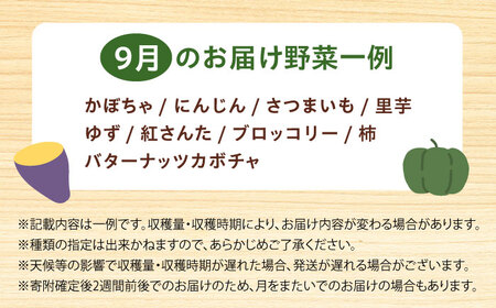 高槻野菜おまかせ詰め合わせセット 9月（10種〜15種）[AOCS015]野菜セット