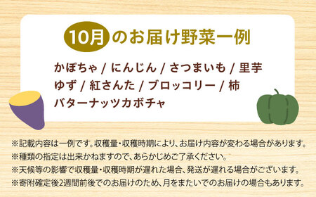 高槻野菜おまかせ詰め合わせセット 10月（10種〜15種）[AOCS016]野菜セット