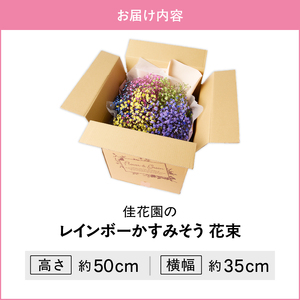 【佳花園】レインボーかすみそう 花束[156K03]