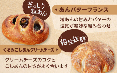 【3回定期便】 あんこ好きの食べ比べ 10個セット 【パンの店 カッタン】 パン あんぱん 大人気店[MEJ010]