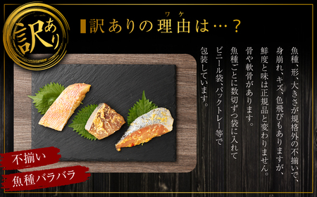 【訳あり】味噌漬けセット 西京漬け 照り焼き用たまり醤油漬け 合計約1kg 種類おまかせ 西京 漬魚 おまかせ セット 西京味噌 鯖 サバ 赤魚 タイ ブリ 弁当 おかず 冷凍
