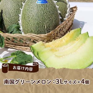 ＜先行予約受付中！2026年6月以降順次発送予定＞鹿児島県産！南国グリーンメロン(3Lサイズ×4個) メロン めろん 果物 スイーツ デザート フルーツ 【あくね旬の店いきいき館】akn015-18