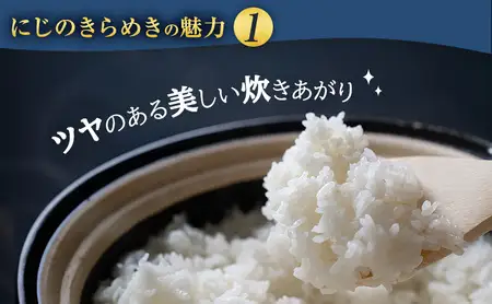 岐阜県産 令和7年産 にじのきらめき 10kg(5kg×2袋) 米 お米 コメ 白米 精米 岐阜 瑞穂市