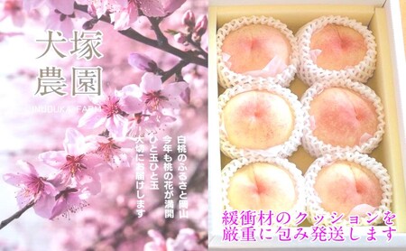 もも 2026年 先行予約 岡山匠の白桃 約1.3kg 4～6玉